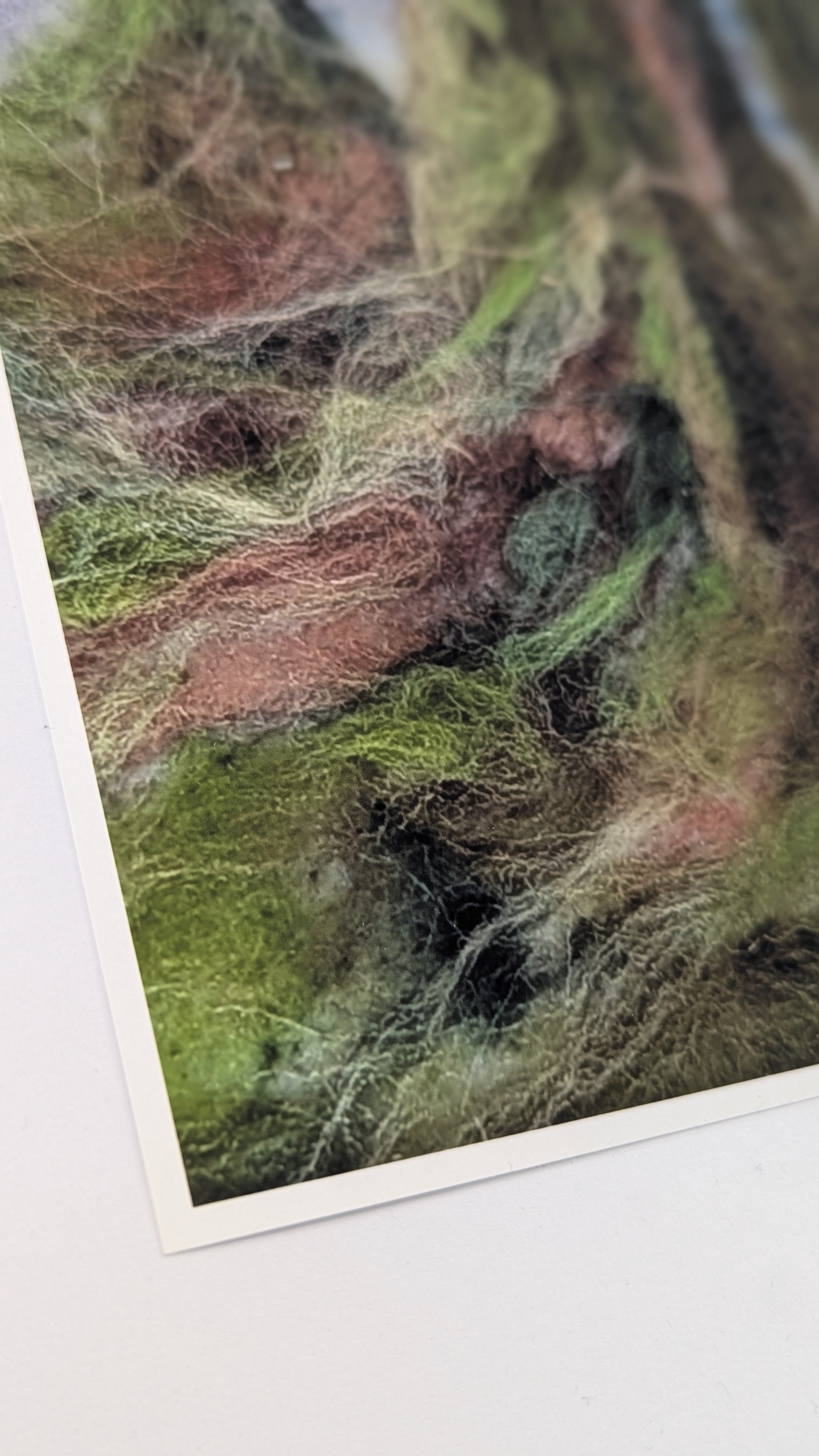 Mossy Forest Roots Print – Needle Felted Tree Art – Woodland Wall Decor – Nature Fiber Art – Cozy Cottagecore Landscape