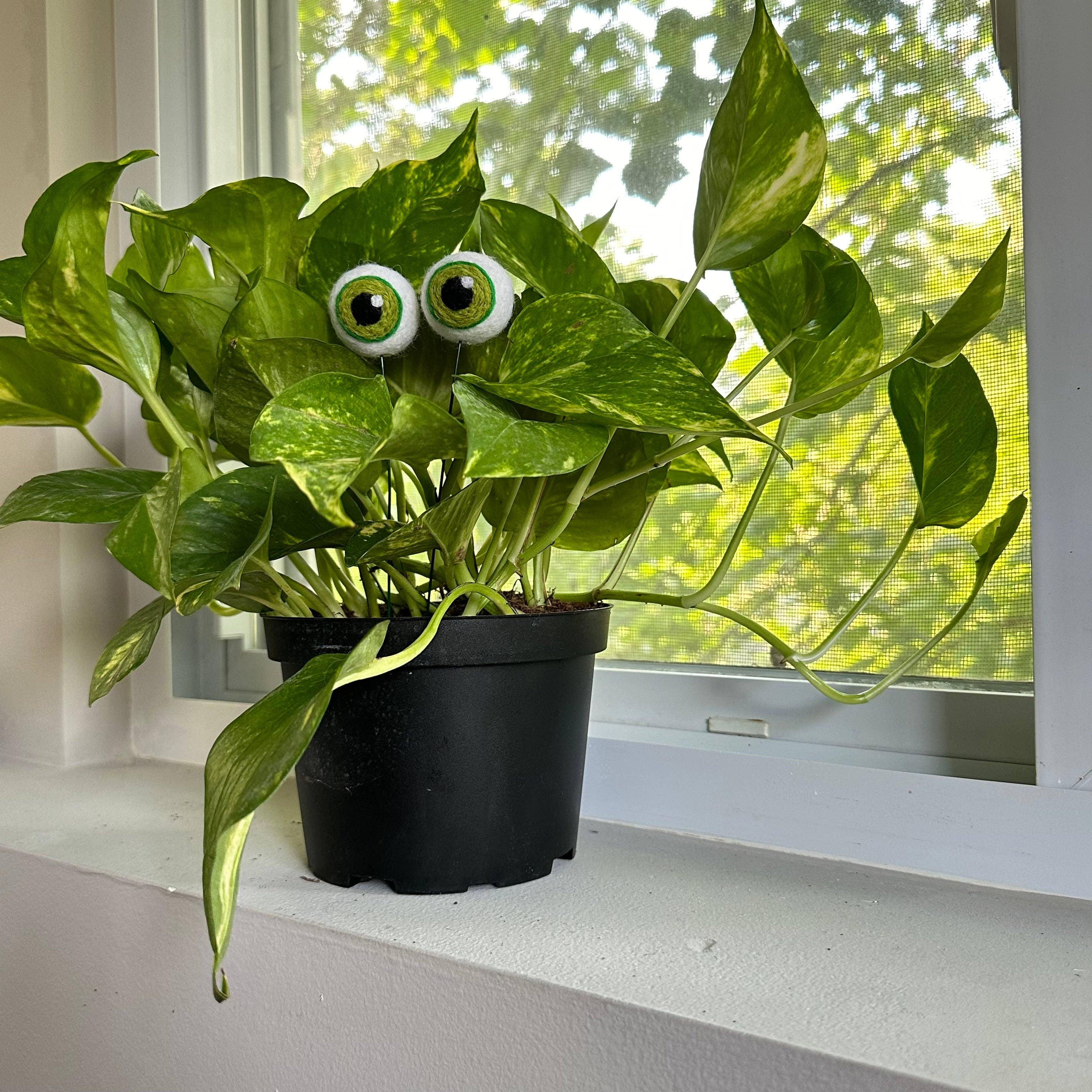 Felted Plant Eyeball Picks – Whimsical Needle Felted Plant Decor